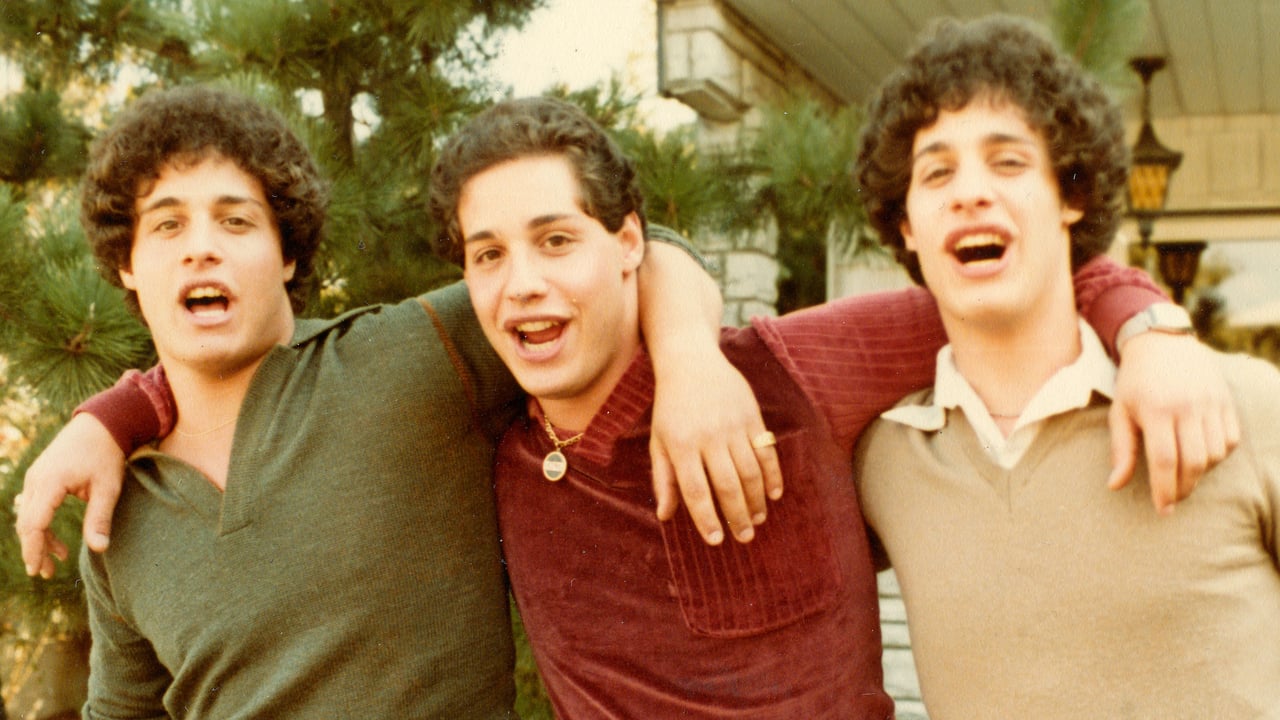 Three Identical Strangers 0