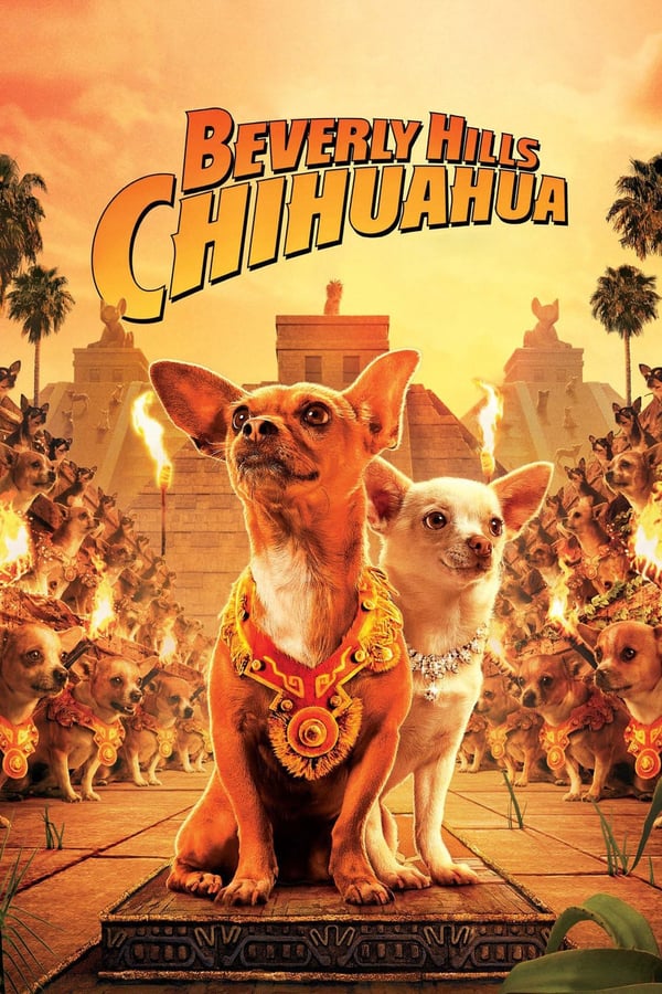 A pampered Beverly Hills chihuahua named Chloe who, while on vacation in Mexico with her owner Viv's niece, Rachel, gets lost and must rely on her friends to help her get back home before she is caught by a dognapper who wants to ransom her.