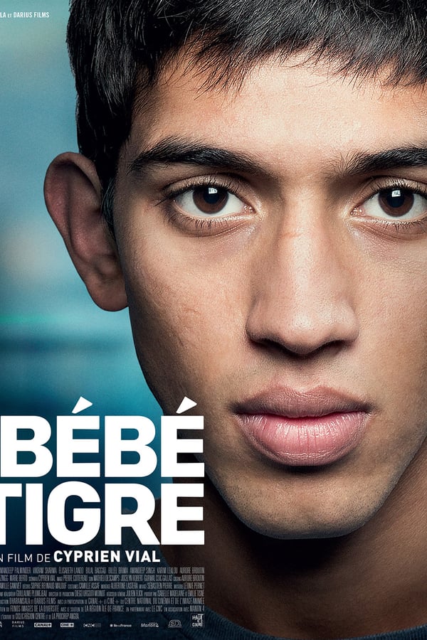 Bébé Tigre is Many, a 17-year-old Indian boy who has been living in France for two years. A teenager like any other, he divides his time between school, friends, and his girlfriend. But the pressures placed on him by his parents in India force him to put his own life at risk...