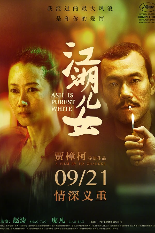 De film vertelt een liefdesverhaal dat zich ontwikkelt van 2001 tot en met 2017. In het armoedige Datong wordt de jonge danseres Qiao verliefd op de gangster Bin. Tijdens een gevecht tussen rivaliserende bendes vuurt Qiao een schot af ter bescherming van Bin, maar wordt hierdoor veroordeeld tot een celstraf van vijf jaar.