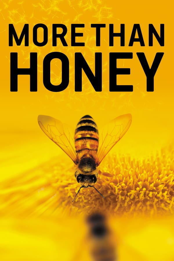 With dazzling nature photography, Academy Award®–nominated director Markus Imhoof (The Boat Is Full) takes a global examination of endangered honeybees — spanning California, Switzerland, China and Australia — more ambitious than any previous work on the topic.