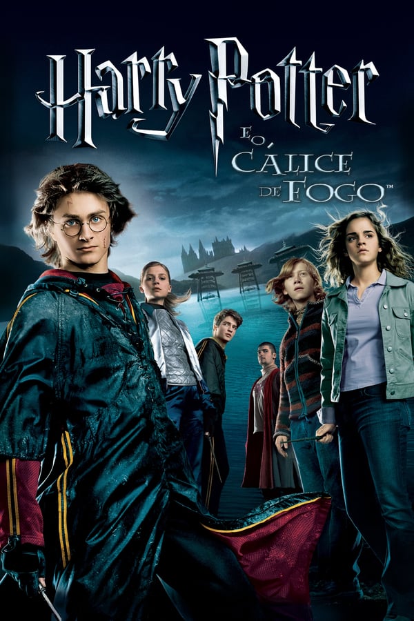 No seu quarto ano na Escola de Hogwards, Harry Potter é misteriosamente seleccionado para participar do Torneio dos Três Feiticeiros, uma competição internacional em que precisará de enfrentar alunos mais velhos e experientes.