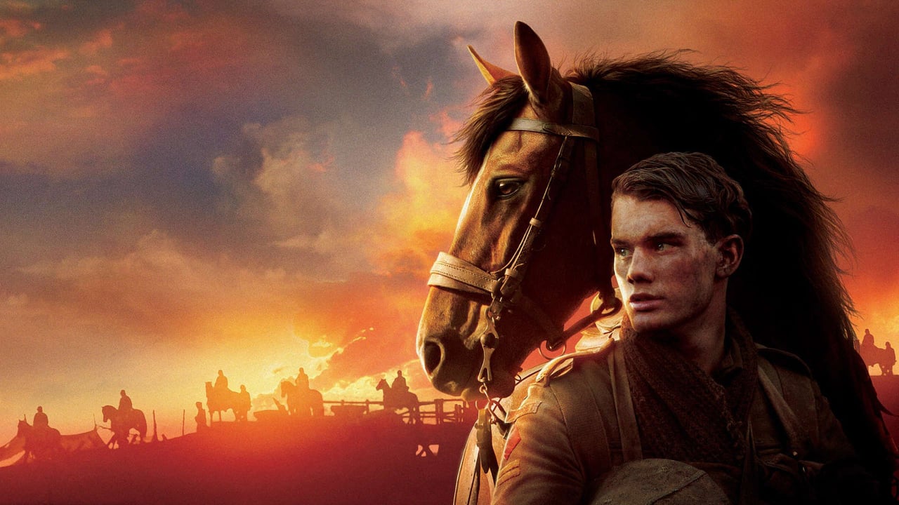 War Horse 0