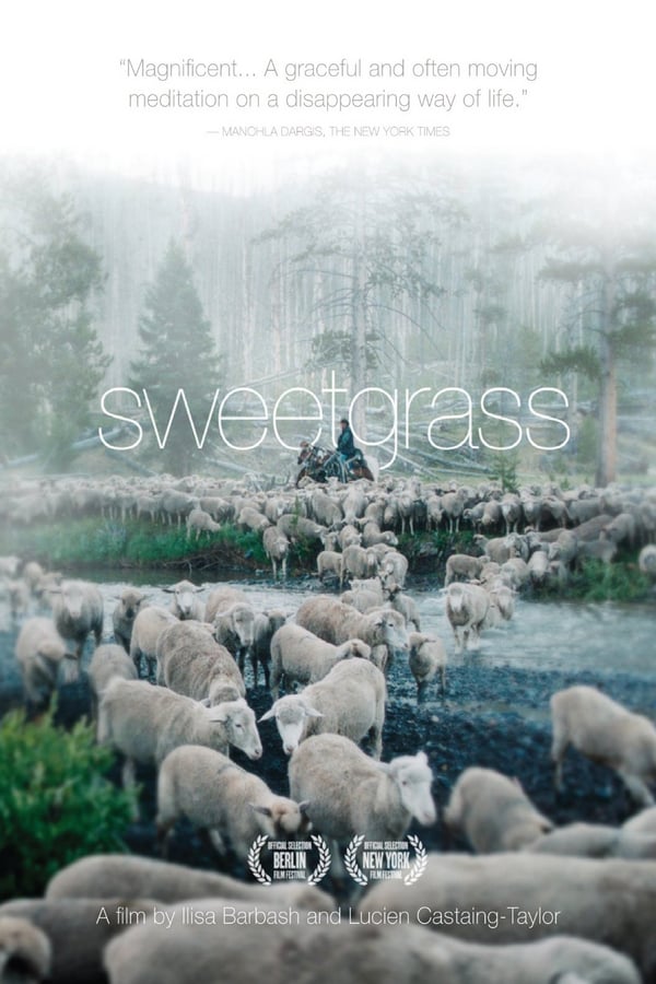 An unsentimental elegy to the American West, Sweetgrass follows the last modern-day cowboys to lead their flocks of sheep up into Montana's breathtaking and often dangerous Absaroka-Beartooth mountains for summer pasture. This astonishingly beautiful reveals a world in which nature and culture, animals and humans, vulnerability and violence are all intimately meshed.