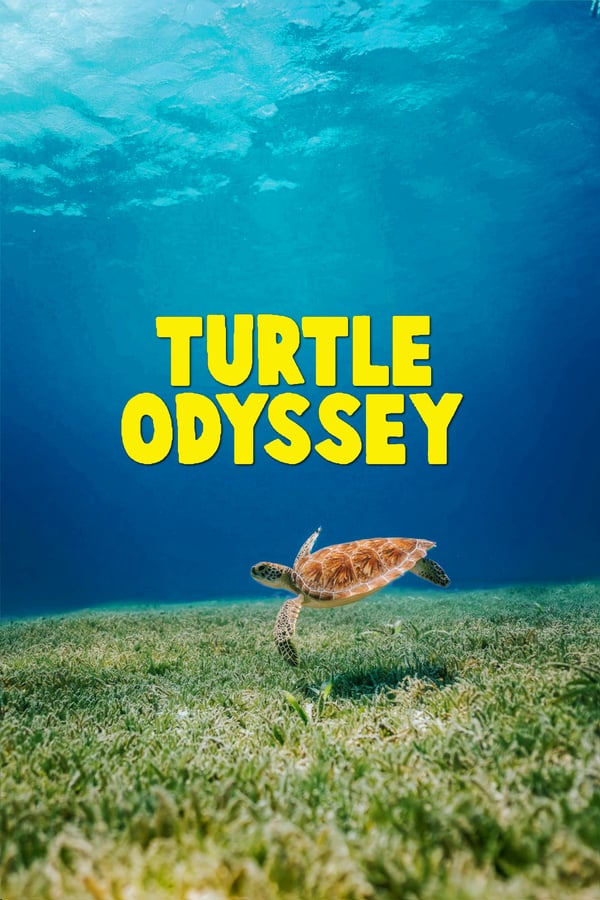 Turtle Odyssey explore le cycle de vie unique d'une tortue de mer australienne appelée Bunji et son incroyable voyage à travers l'océan.