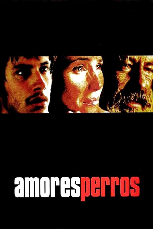 A fatalistic car crash in Mexico City sets off a chain of events in the lives of three persons: a young man aching to run off with his sister-in-law, a supermodel, and a homeless man. Their lives are catapulted into unforeseen circumstances instigated by the seemingly inconsequential destiny of a dog.