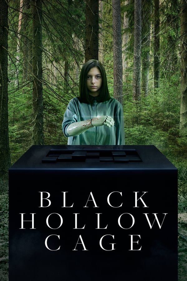 A girl who lives in a secluded house with her father and her dog finds a mysterious black cube in the woods with the ability to change the past.