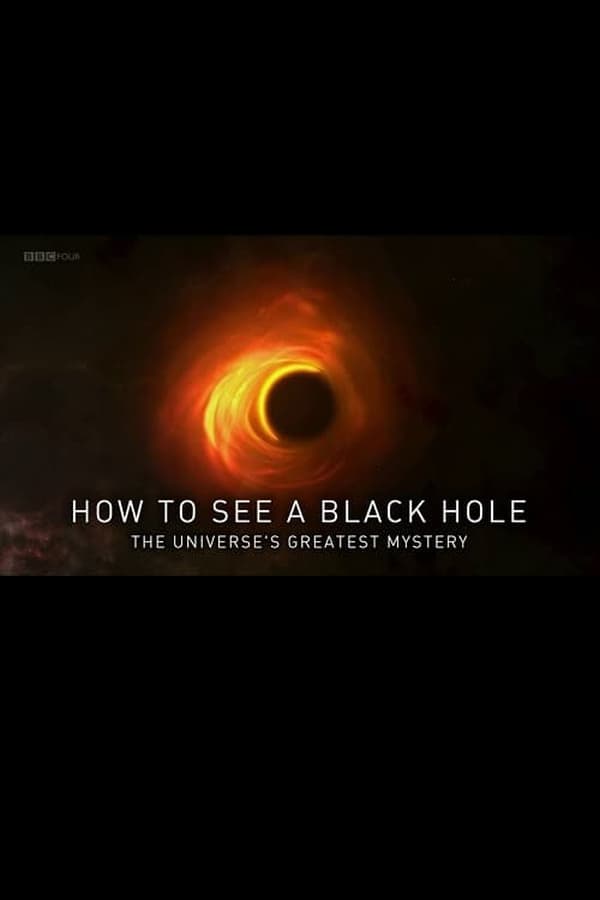 Documentary following researchers as they try to take the first-ever picture of a black hole. They must travel the globe to build a revolutionary telescope that spans planet Earth.
