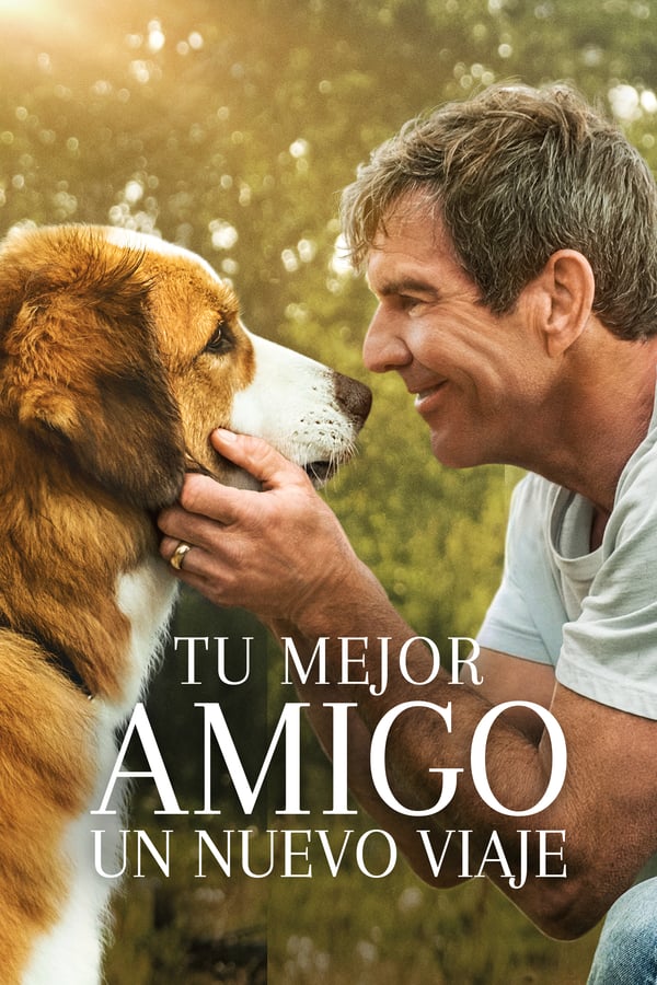 Narra la historia de Bailey, un perro leal que encuentra el significado de su propia existencia a través de la vida de los humanos a los que les enseña a reír y amar.