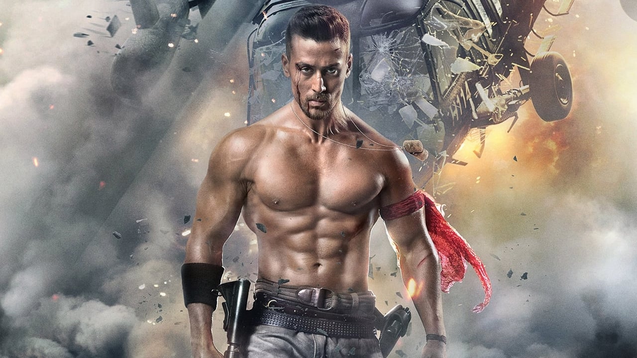 Baaghi 2 0