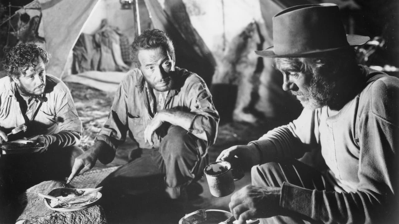 The Treasure of the Sierra Madre 0