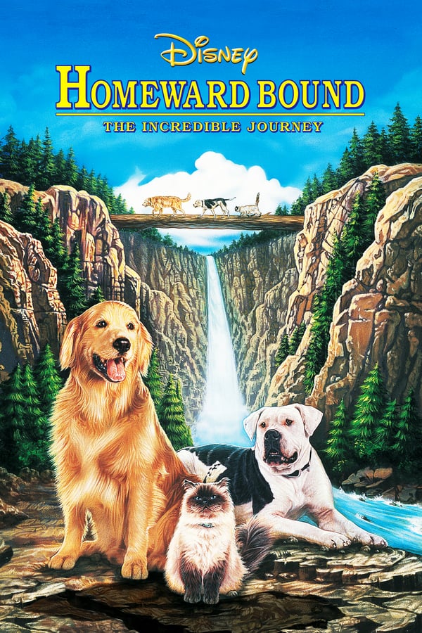 Remake of the popular Disney classic, this time featuring some well known voices as two dogs and a cat trek across America encountering all sorts of adventures in the quest to be reunited with their owners.