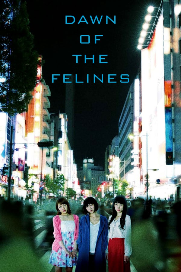 A glimpse into the lives of three prostitutes in the Ikebukuro district of Tokyo and the clients who solicit them.