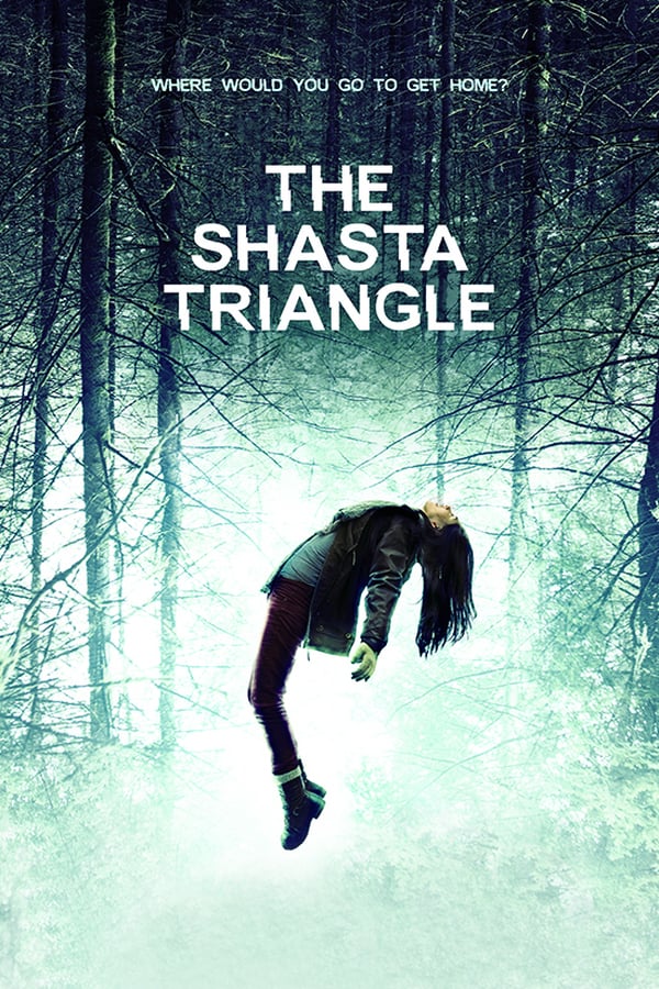 A young woman returns to her hometown to uncover the truth about her father's disappearance. Deep in the woods, she and her childhood friends battle ancient and terrifying forces controlling the town.