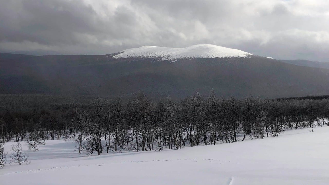 The Dyatlov Pass Incident 0