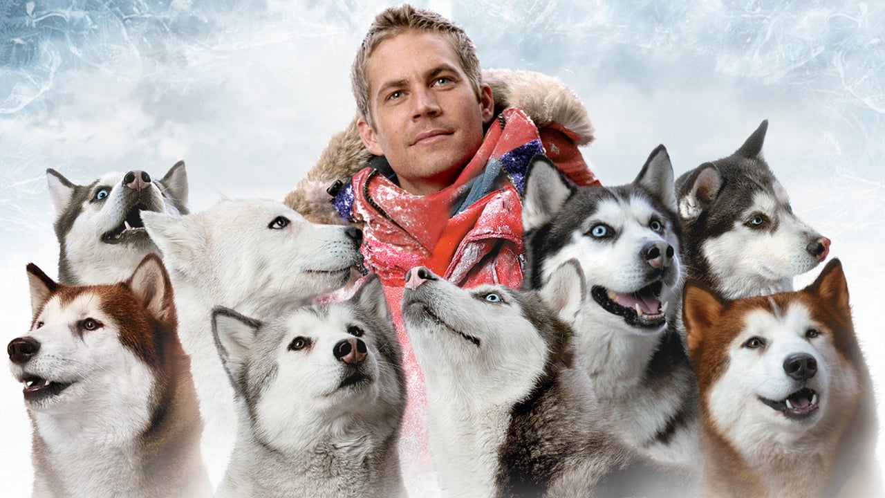 Eight Below 0