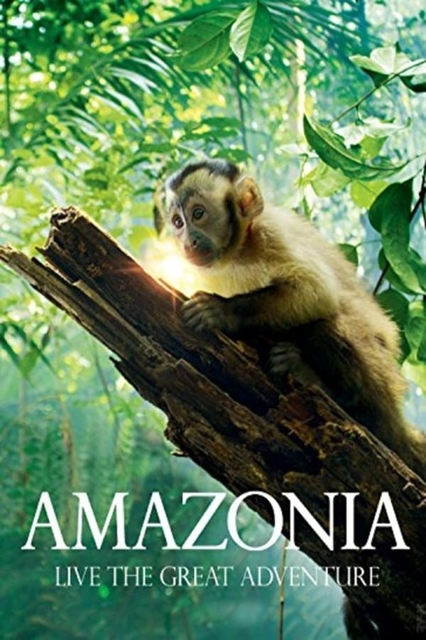Amazonia is an adventure in 3D inside the largest rainforest on the planet: the Amazon rainforest. Chestnut is a Capuchin monkey domesticated who survives a plane crash and finds himself alone in the dense forest. The monkey needs to learn to live in freedom, in a new world where animals of all kinds: Jaguars, alligators, snakes, tapirs, hawks. Gradually, Brown learns to live in the forest, making new friends, especially the monkey Gaia, their fellow species.