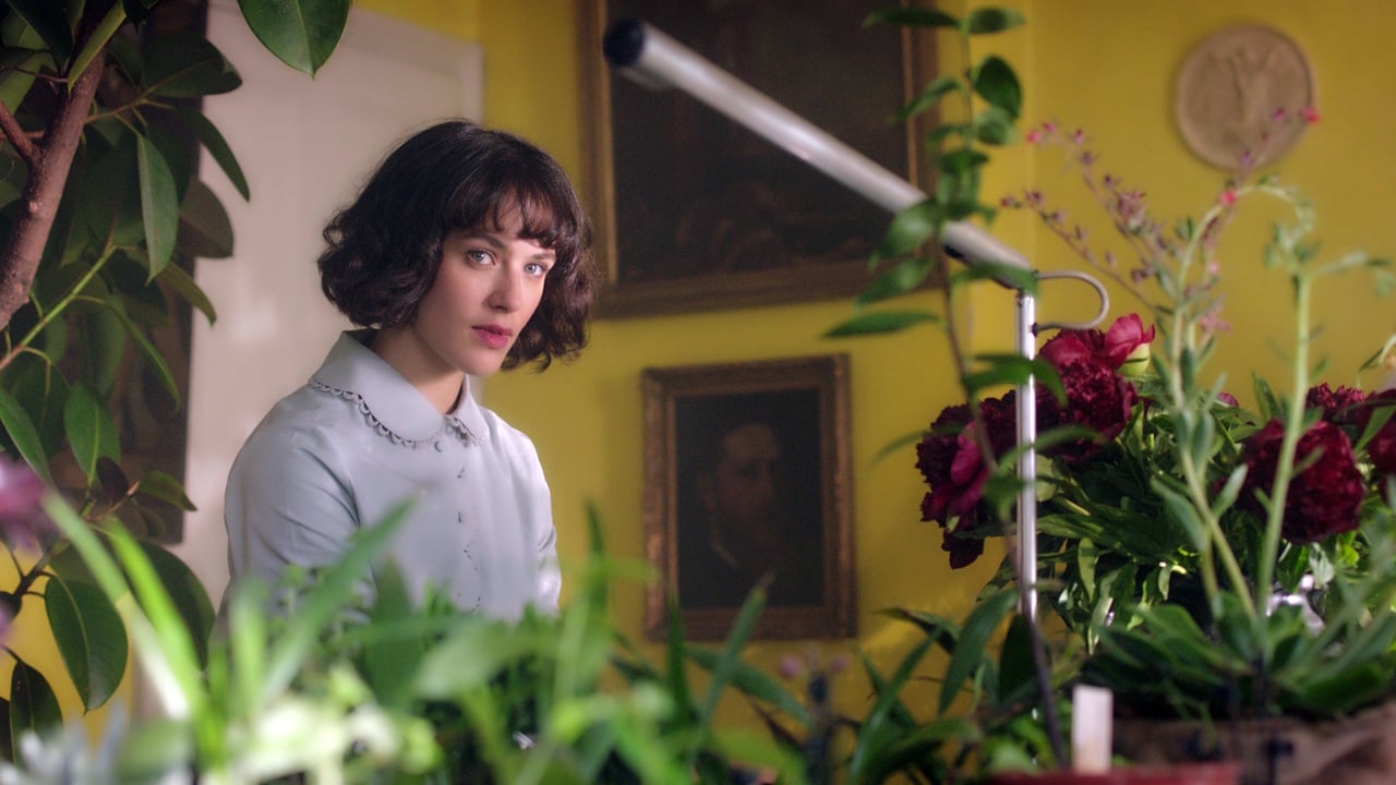 This Beautiful Fantastic 0