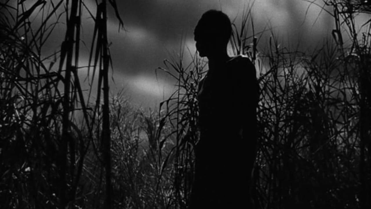 Shadows in the Dark: The Val Lewton Legacy 0