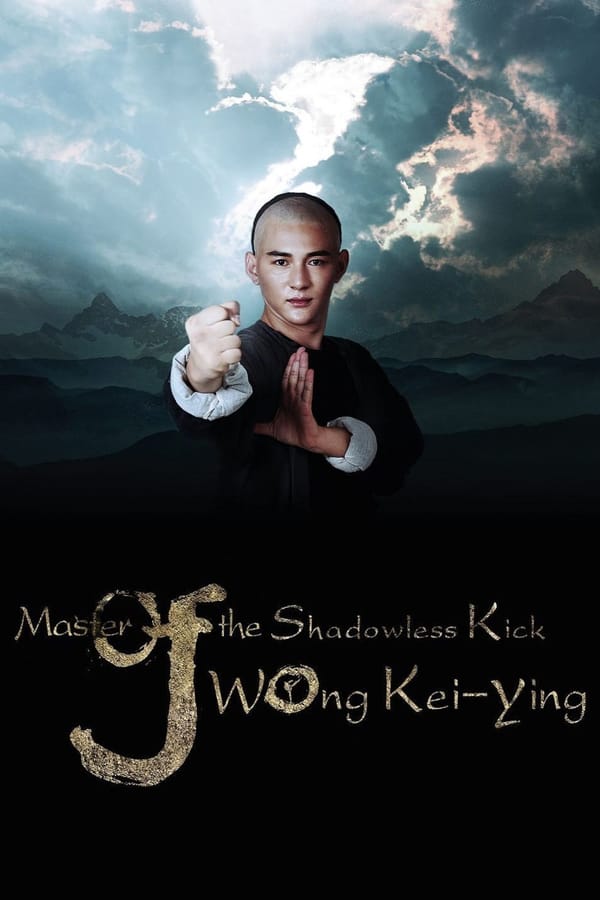 A quiet physician from southern China masters martial arts to protect his son and stop a corrupt governor.
