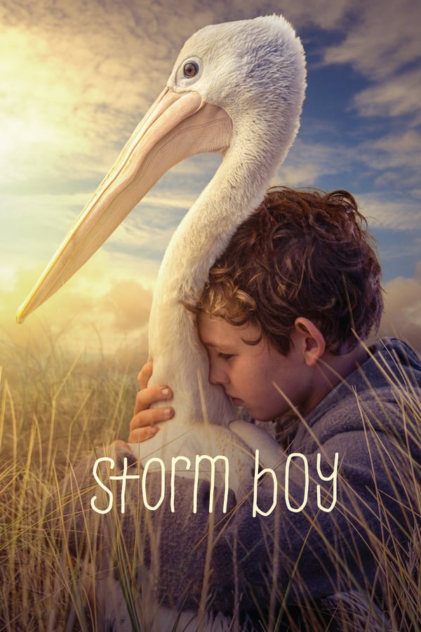 Een jongen genaamd Storm Boy groeit op aan de mooie, onbewoonde kustlijn in het zuiden van Australië. Op een dag weet hij drie verweesde pelikanen te redden waarna hij ze in huis opneemt. Er groeit een sterke band tussen de dieren en de jongen.