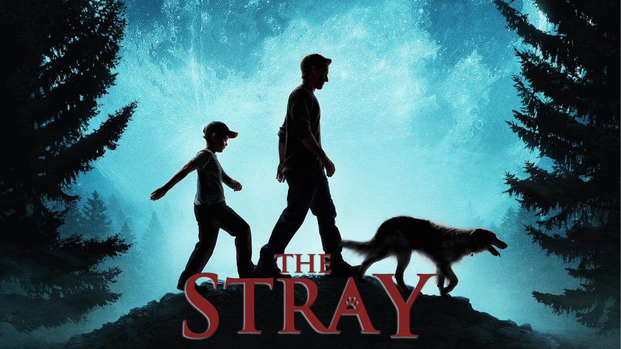 The Stray 0