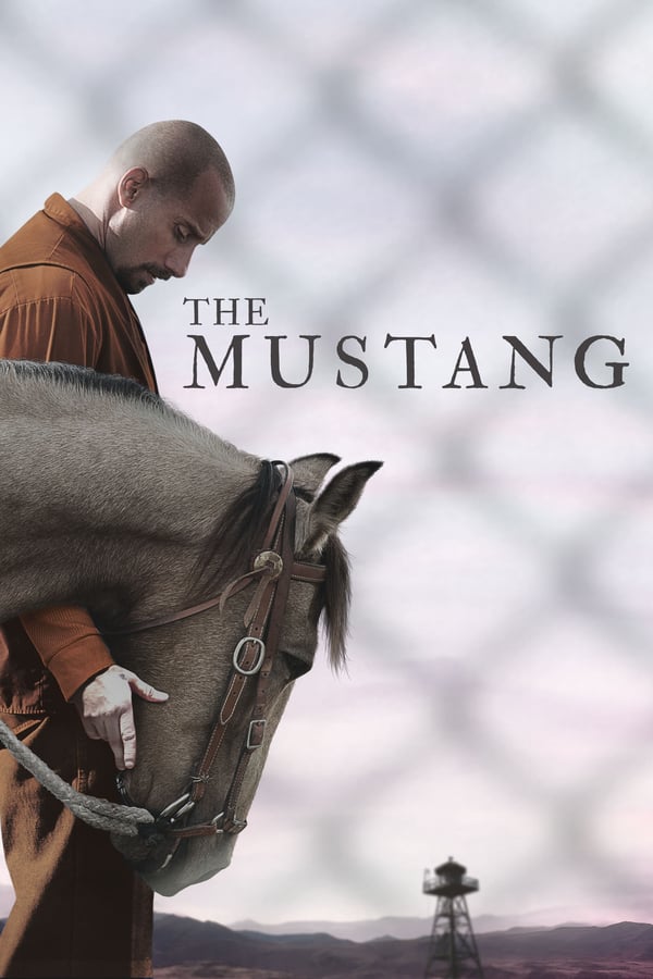 While participating in a rehabilitation program training wild mustangs, a convict at first struggles to connect with the horses and his fellow inmates, but he learns to confront his violent past as he soothes an especially feisty horse.