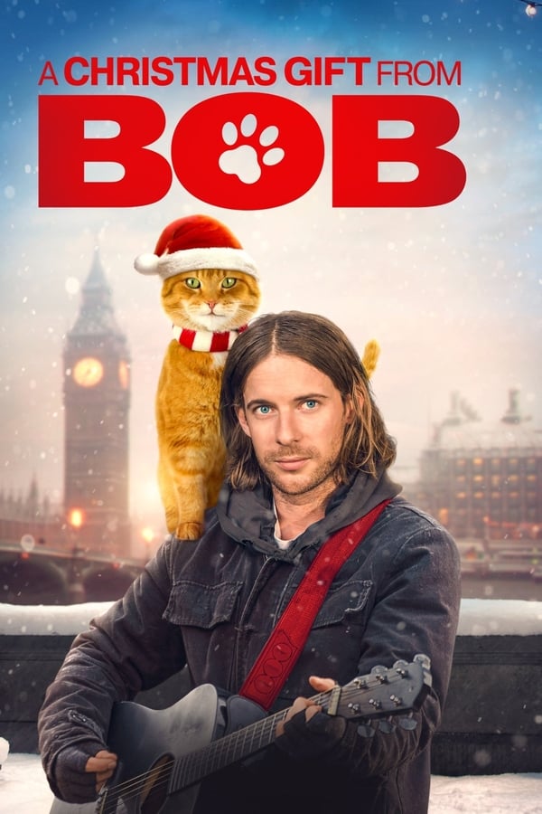 James Bowen finds himself the target of an animal welfare investigation that threatens to take away his beloved cat, Bob, at Christmas.