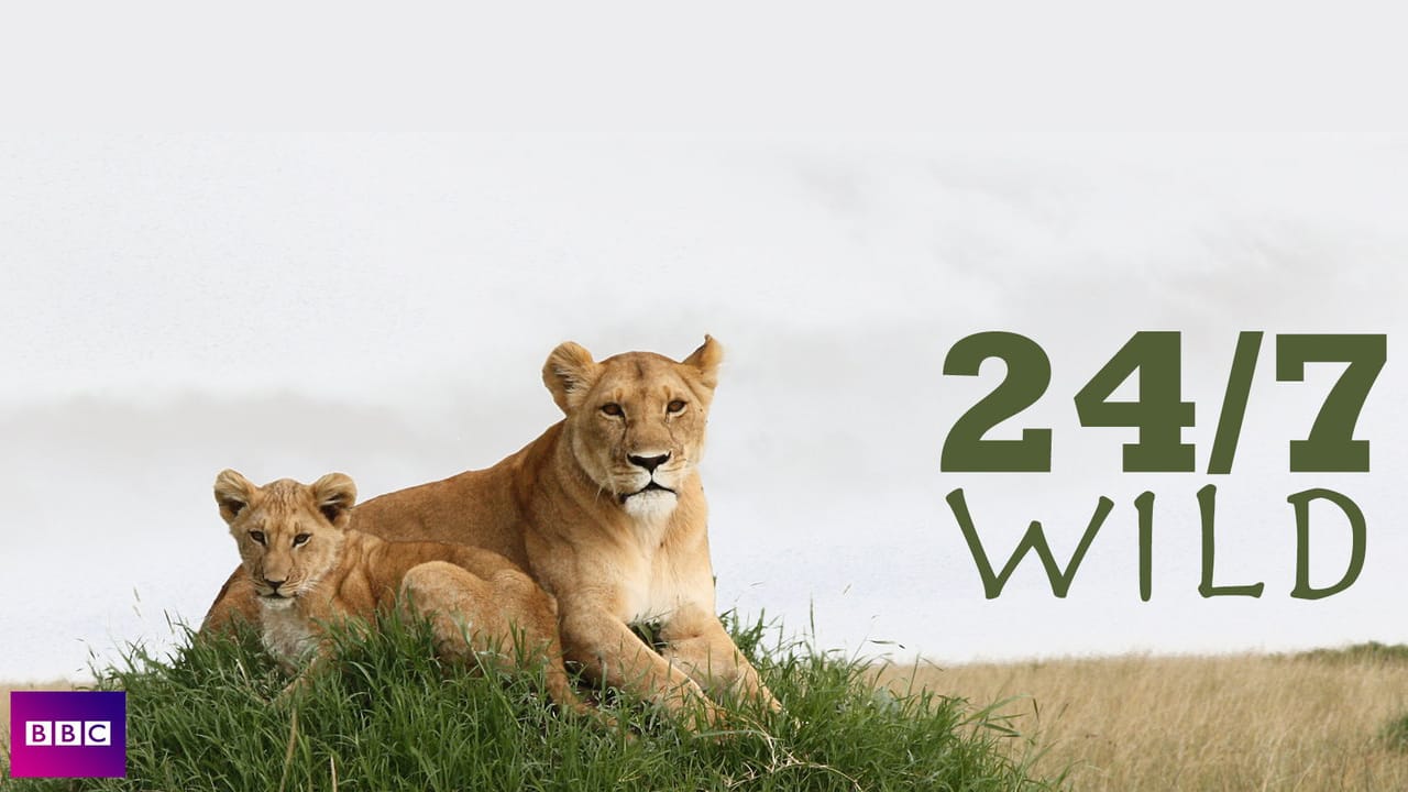 BBC Earth - 24/7 Wild 0