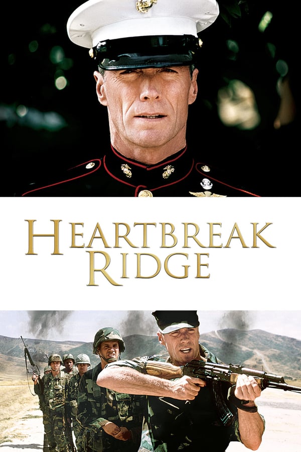 A hard-nosed, hard-living Marine gunnery sergeant clashes with his superiors and his ex-wife as he takes command of a spoiled recon platoon with a bad attitude.