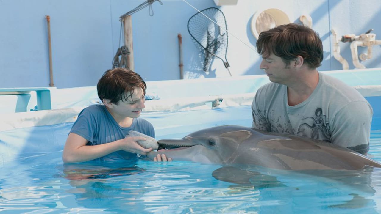 Dolphin Tale 0