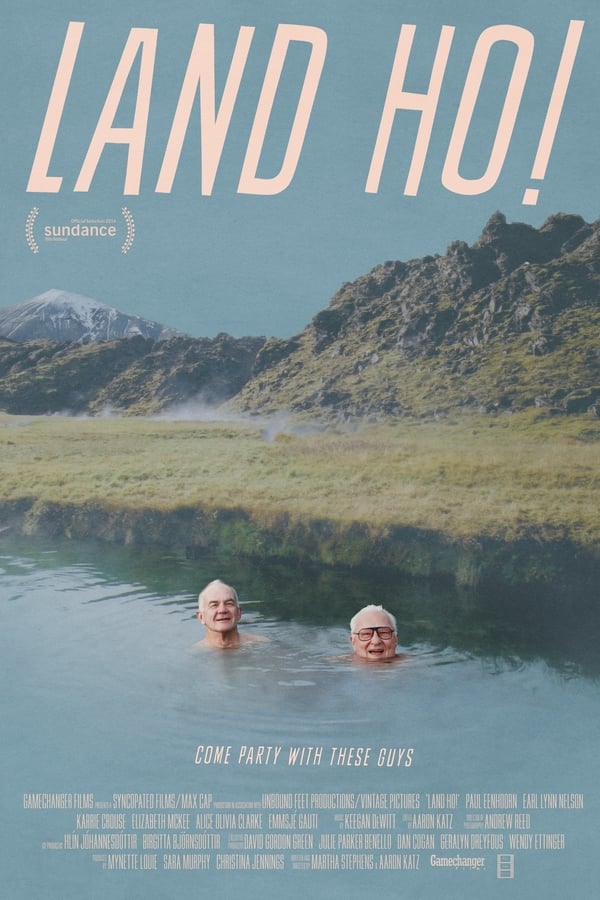 A pair of former brothers-in-law embark on a road trip through Iceland.
