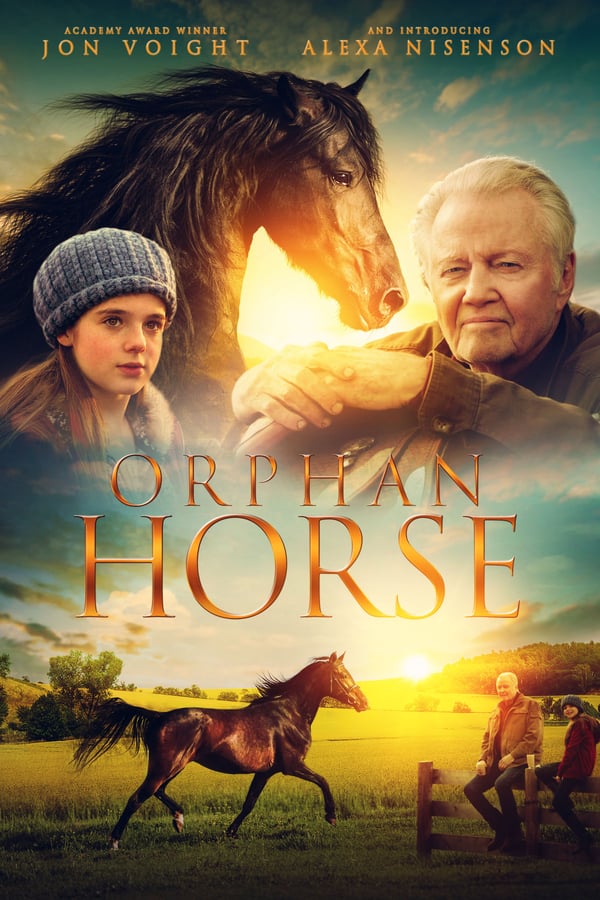 A retired horse trainer finds a young runaway girl in his barn. Skeptic at first, he let's her stay and a friendship develops while he discovers her heart and talent for horses.