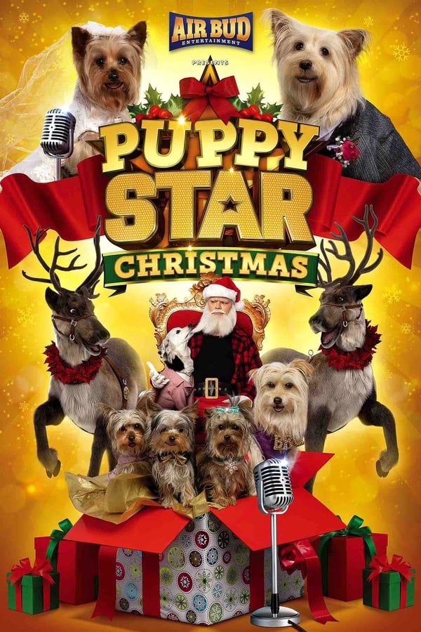 Una nueva película llena de canciones de Air Bud 'Pup Star' que presenta cuatro nuevos cachorros a la familia, que se guardan en el trineo de Papá Noel y se encuentran atrapados en el Polo Norte, tratando de salvar el espíritu navideño del mundo.
