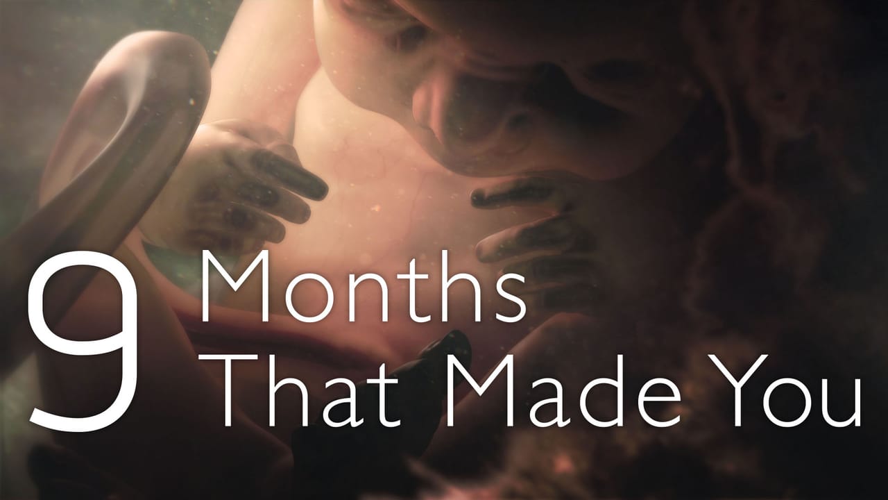 NF - 9 Months That Made You 1