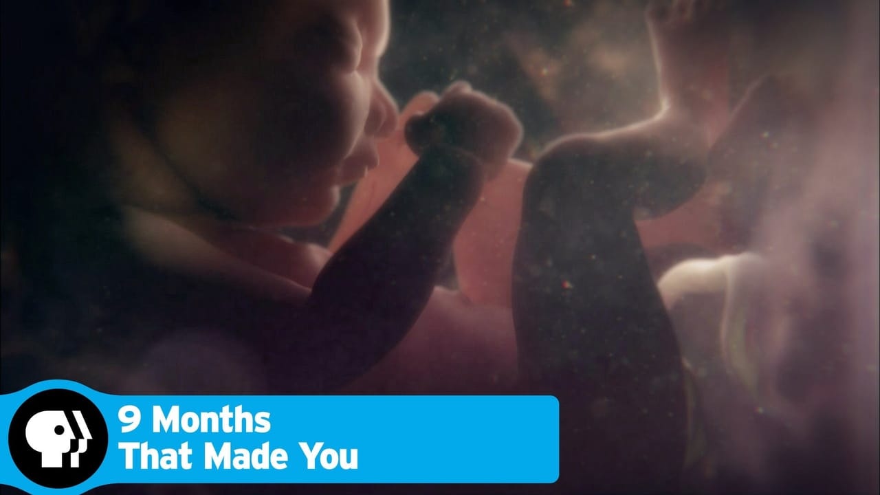 NF - 9 Months That Made You 0